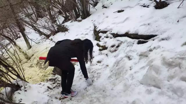【華山西峰索道】太華索道公司組織干部職工開展學雷鋒志愿服務活動(圖11)