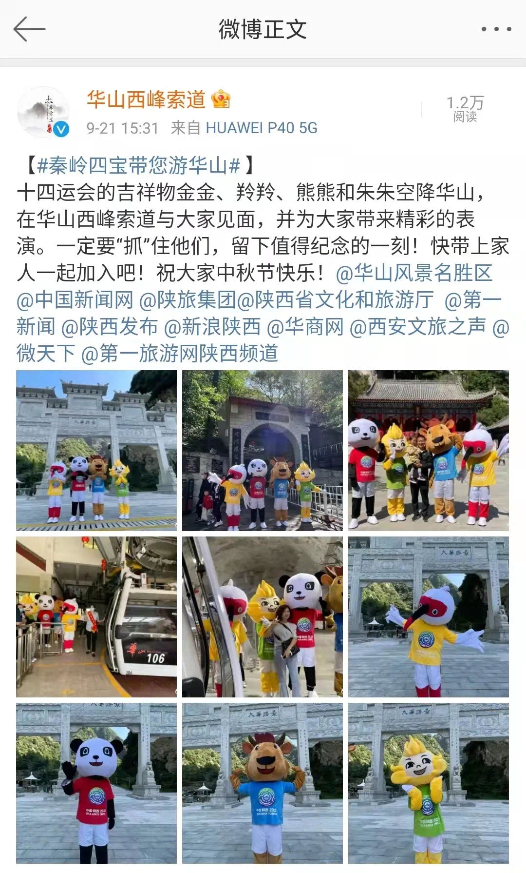 (圖11)