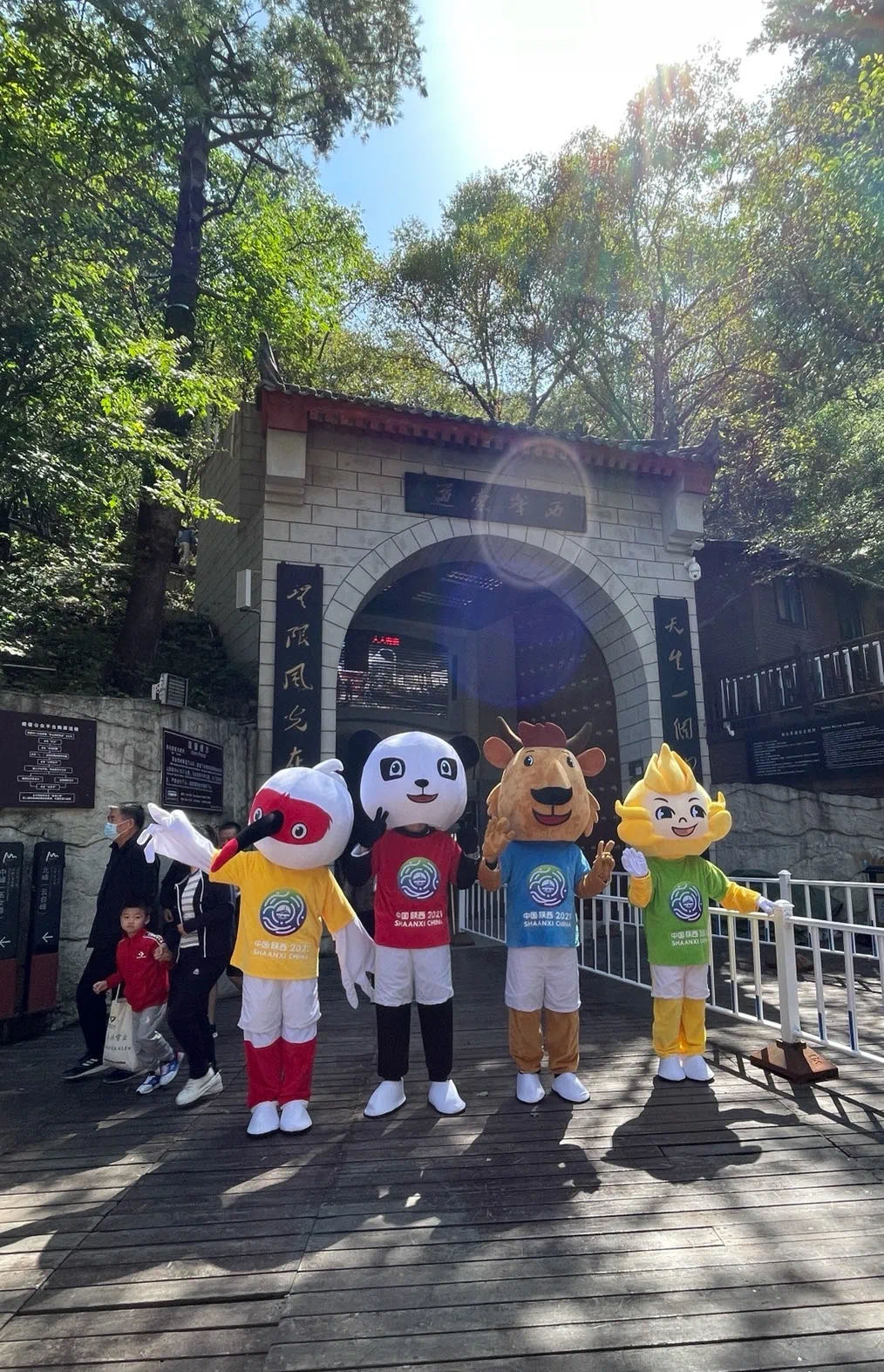 (圖8)